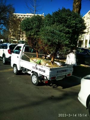 Перевозка и доставка в Ташкенте