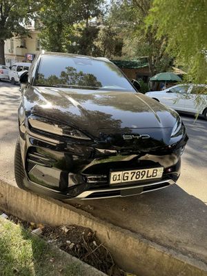 Byd champion 605km full