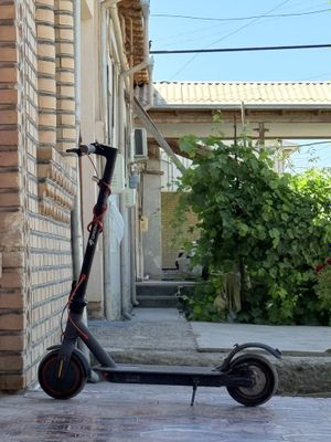 elektra samoqat 20kunlik