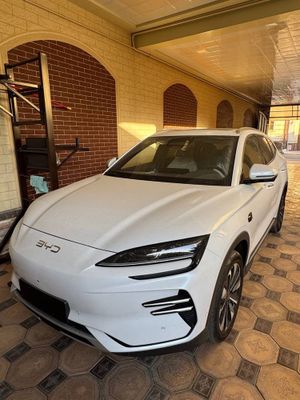 Byd chempion 2025 smart full