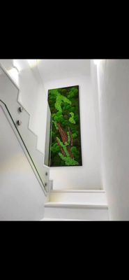 Decor rasimlar Uy,ofislar uchun tabiy gullar