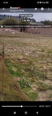 Дала ховли сотилади
