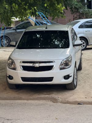 Cobalt Evro 2014.15