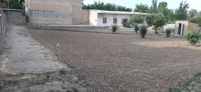 Toshkent tumani shoroda joylashgan uchastka