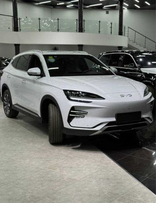 Byd Champion 2025 versiya