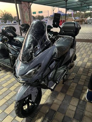 Drongo Tiger pro max