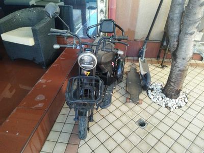 трицикл электрический