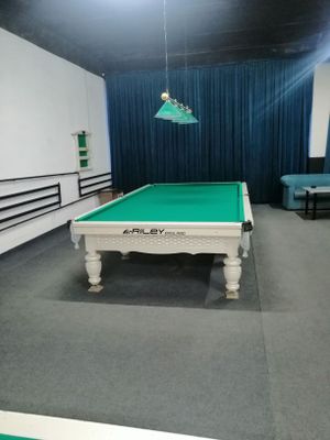 Prafisional bilyard stol 2 ta stol kamplekt qimmat tosh kiylari bila