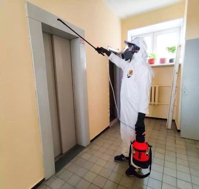 Dizinfeksiya klop va tarakalardan garantiya 3 yil