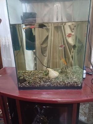 Продам Акварюм с рыбами
