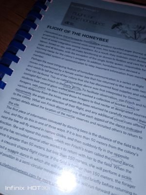 IELTS reading uchun