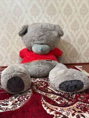 Тедди сотилади срочно