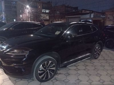 BYD Чемпеон перевозка