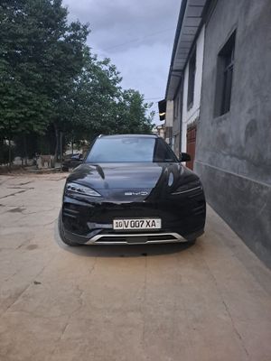 BYD Chempion Full 605