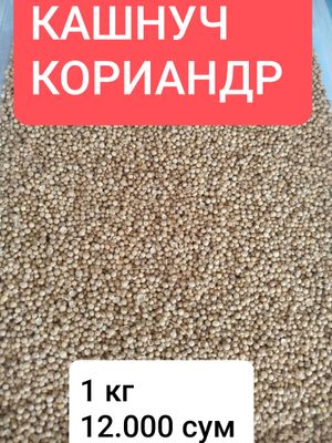 Зираворлар Специи Приправы