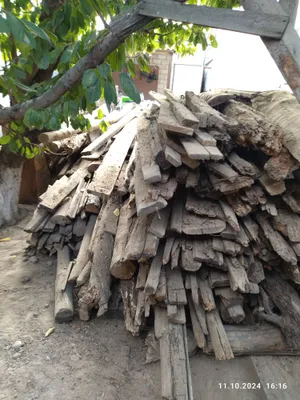 Отин сотилади...