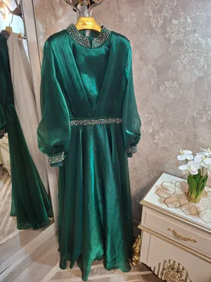 gatovi yangi koʻylak kiyilmagan