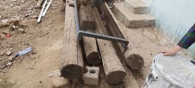 Bolor 12 metrlik