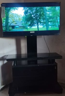 Телевизор 43" WellStars Smart TV + тумба