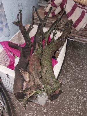 Коряга для аквариума