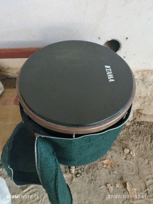 dovul sotiladi narxi 900 ming som