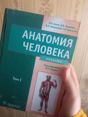 Книга Сапина анатомия человека 1 том