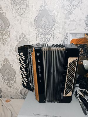 Akardion musical instrument