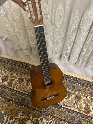 Gitara yengi kelishtiramiz narxini