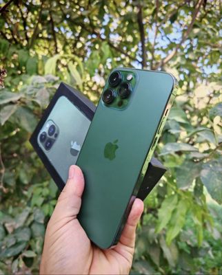 Iphone 13 pro green