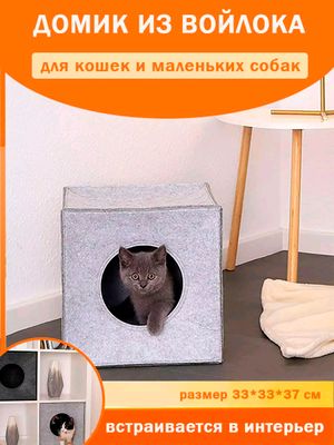 Mushuklar uchun uycha