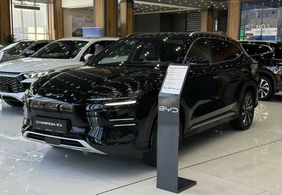 Byd song chempion notariusli