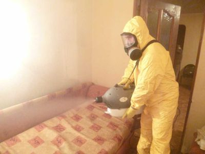 Дезинсекция насекомых с гарантией 3 года PROFIDEZ