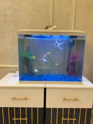 80L