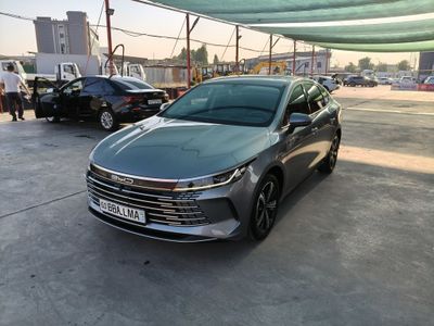 BYD Chazor 2023, идеал холатда (120 талик)