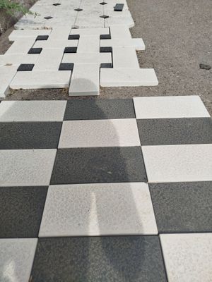 Арзон бурчаткалар бор