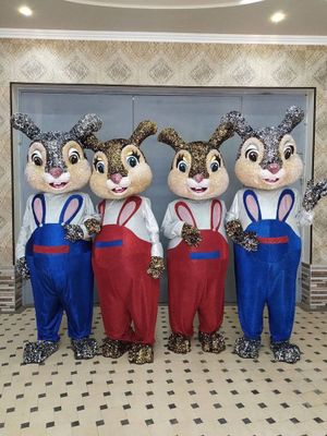 Ayiqlar sotiladi Ayiq sotiladi