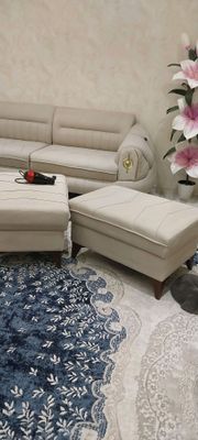 divan ugalok 8 milion kami bor yangi bir oy buldi