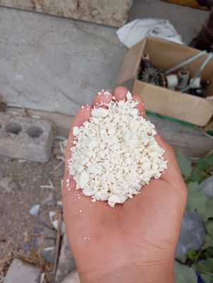 Струшка (Серйо) бор
