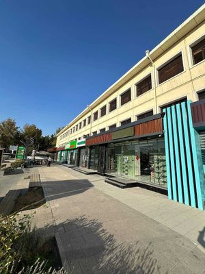 Сдается в аренду 224м2 на Миноре метро 1 линия Open - space