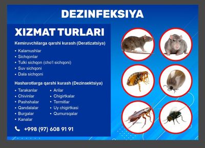 Dizinfeksiya xizmati