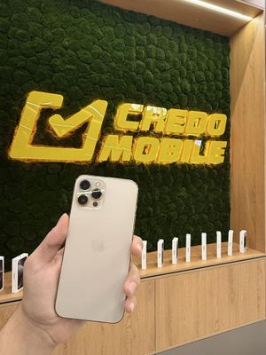 Juda arzon narxda Iphone 12 Pro Max / Credo Mobile