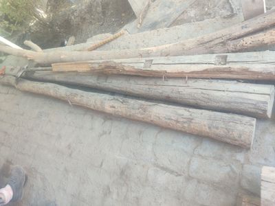 Bolor qalamalar 3.5
