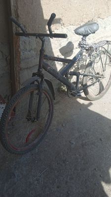 Velik arzon sport