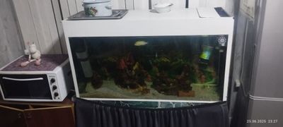 Akvarium sotiladi hamma narsasi bilan