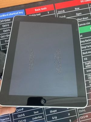 iPad Wi-Fi+3G