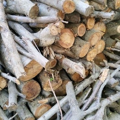 Tandir, Oʻchoq,Parni,Sauna uchun oʻrik oʻtini