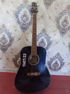 Ashton akustik gitara