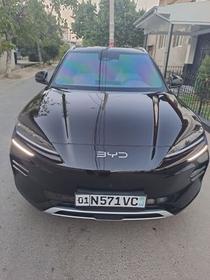 BYD chempion HONOR(Full*****************