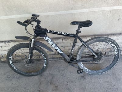 Sport velosiped adidas