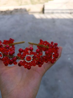 карона
